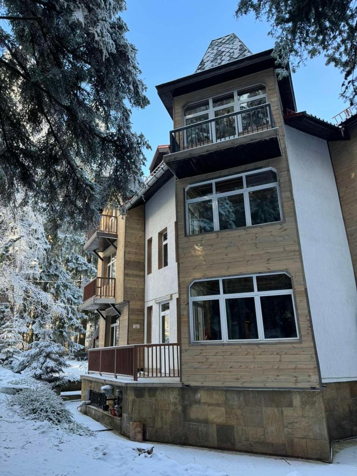 The Forest Villa Borovec Exteriér fotografie