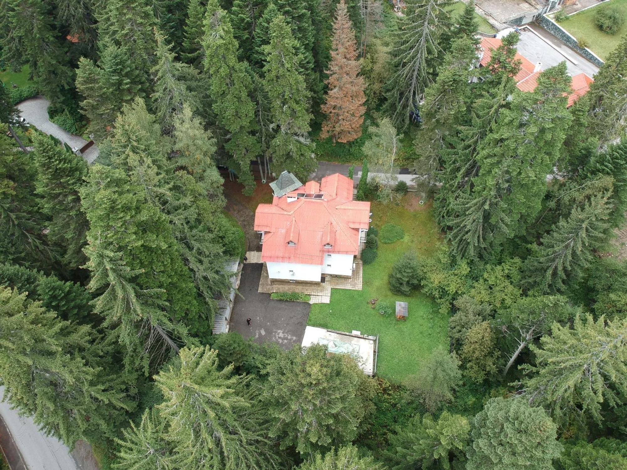 The Forest Villa Borovec Exteriér fotografie