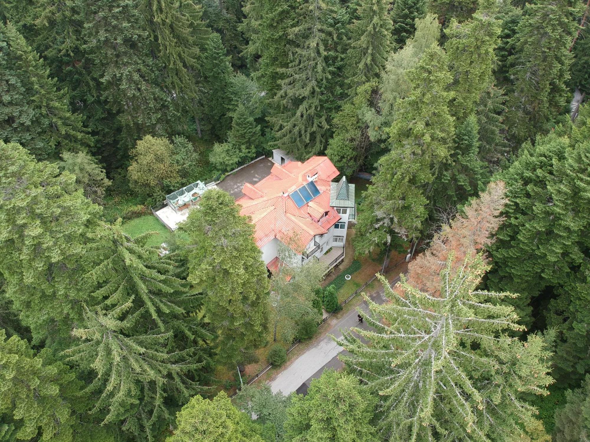 The Forest Villa Borovec Exteriér fotografie