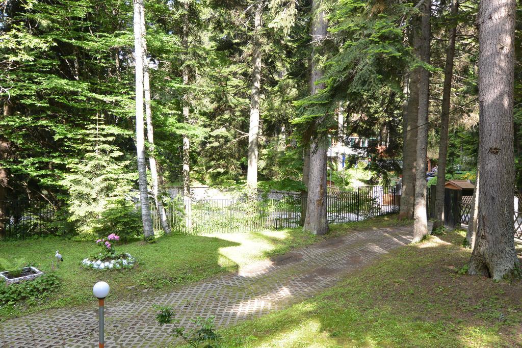 The Forest Villa Borovec Exteriér fotografie