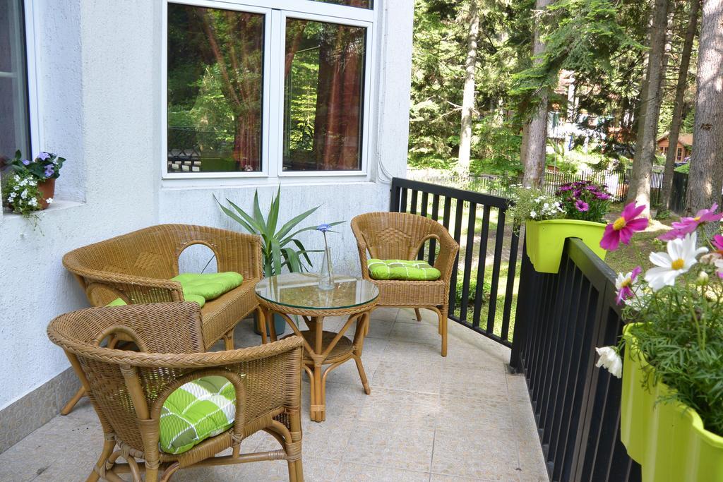 The Forest Villa Borovec Exteriér fotografie